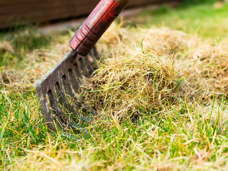 Remove Debris And Leaves Remove Debris And Leaves