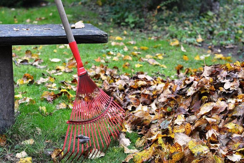 Remove Leaf Piles Along Fences