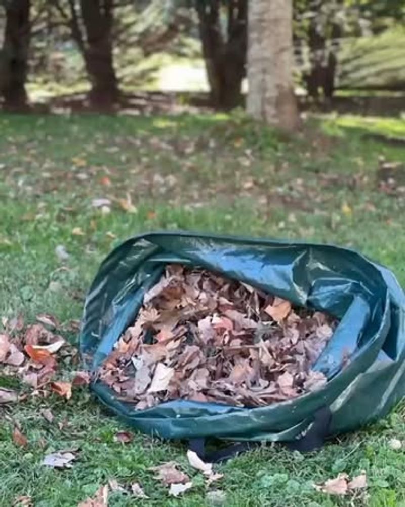 Remove Weeds And Debris Promptly Remove Weeds And Debris Promptly