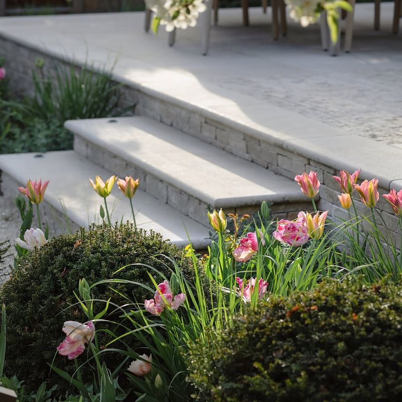 Repeat One Plant For A Designer Look