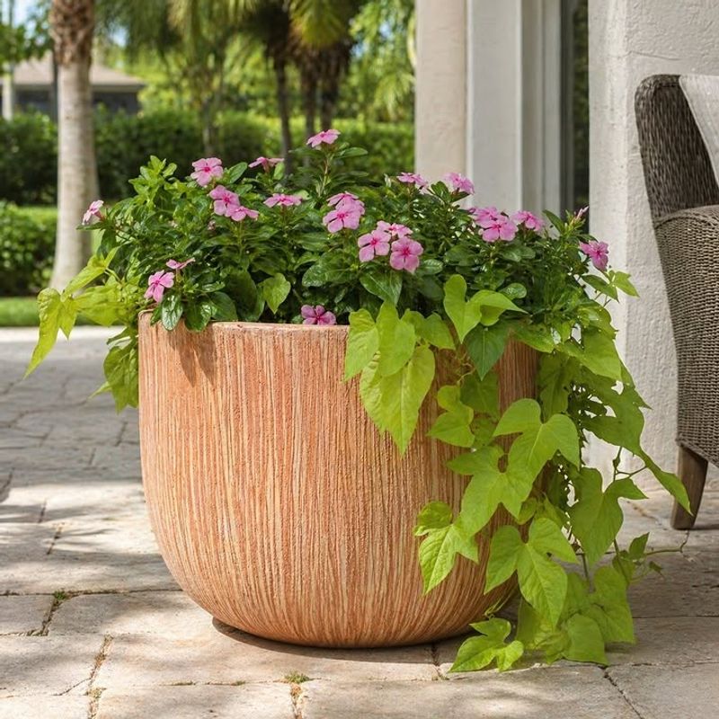Replace Tired Cool-Season Plants With Heat-Tolerant Varieties Replace Tired Cool-Season Plants With Heat-Tolerant Varieties