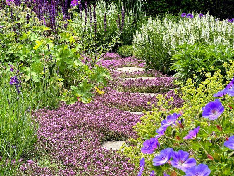 Requires Less Mowing Than Traditional Grass