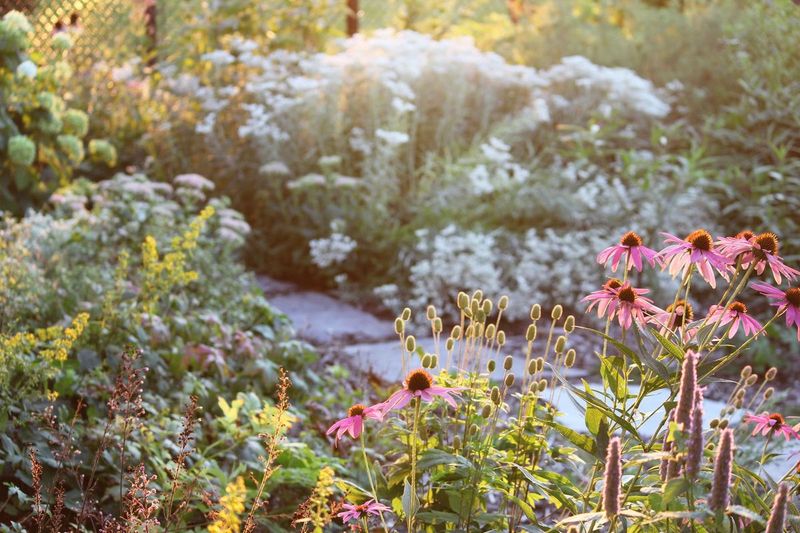 Rewilded Gardens Are Becoming More Popular