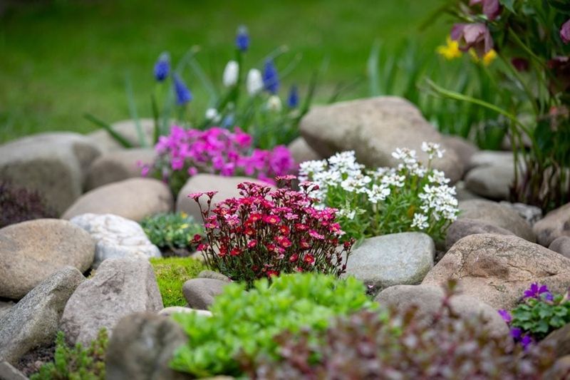 Rocks Can Help Create A Warmer Spot