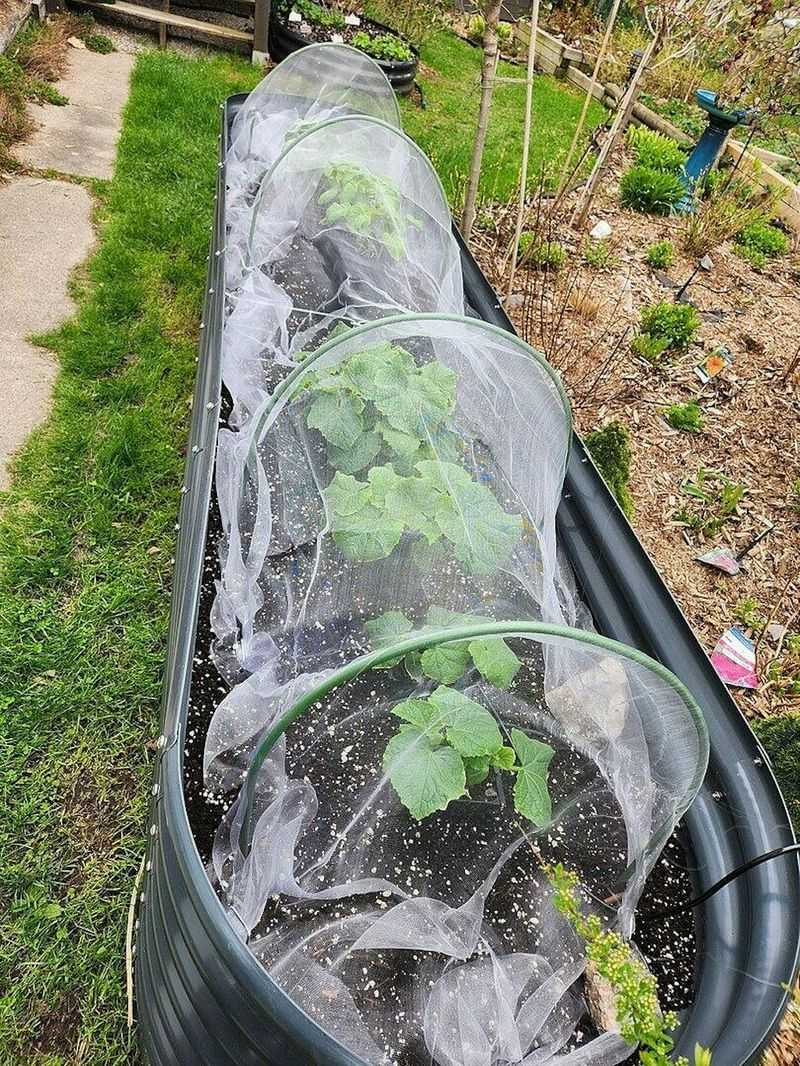Row Covers Give Young Plants A Head Start Row Covers Give Young Plants A Head Start