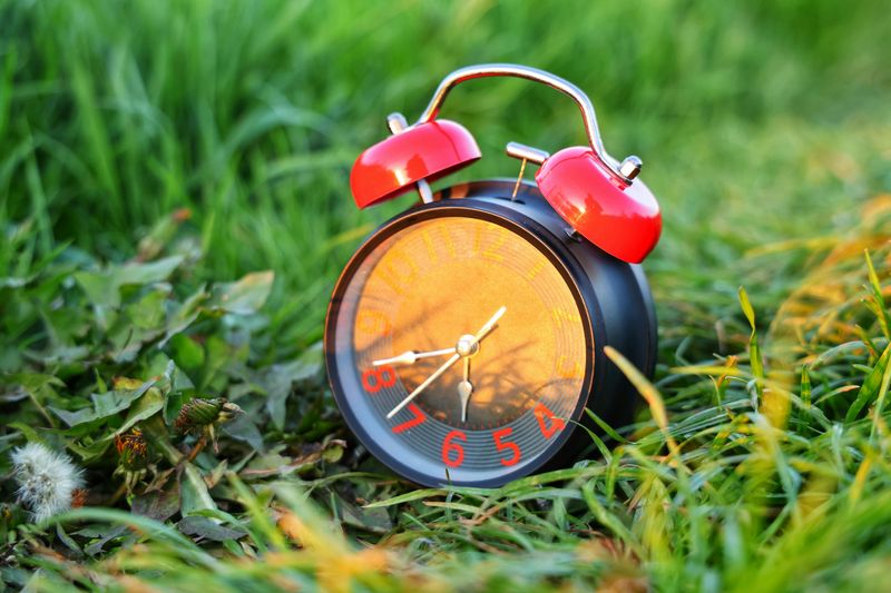 Running Your Sprinklers At The Wrong Time Of Day