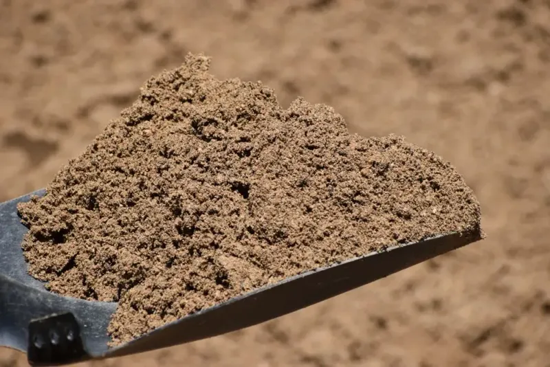 Sand (In Large Amounts)