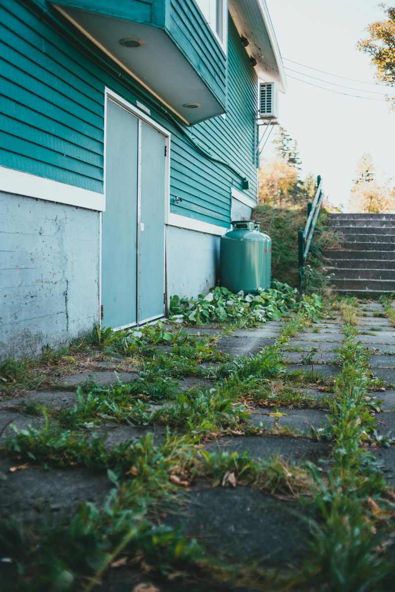 Scratches Around Your Home's Foundation Or Deck