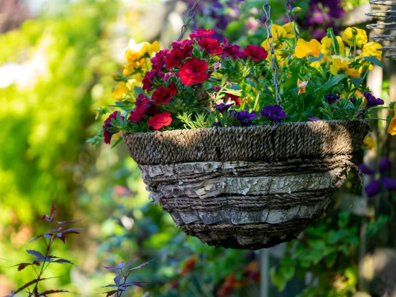 Secure Pots Before High Winds Scatter Them