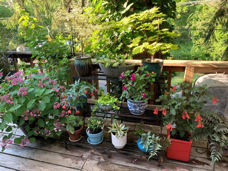 Separate Containers From Beds Separate Containers From Beds