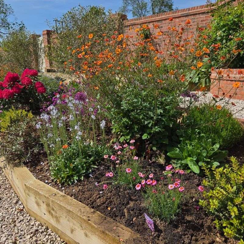 Separate Woodland Edges From Sitting Areas