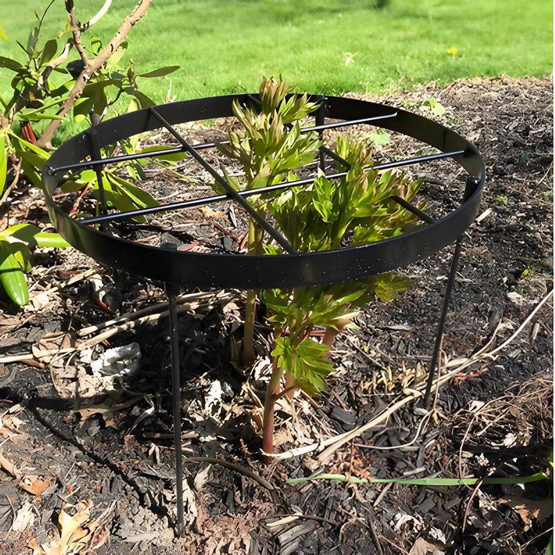 Set Supports Before Heavy Blooms Flop