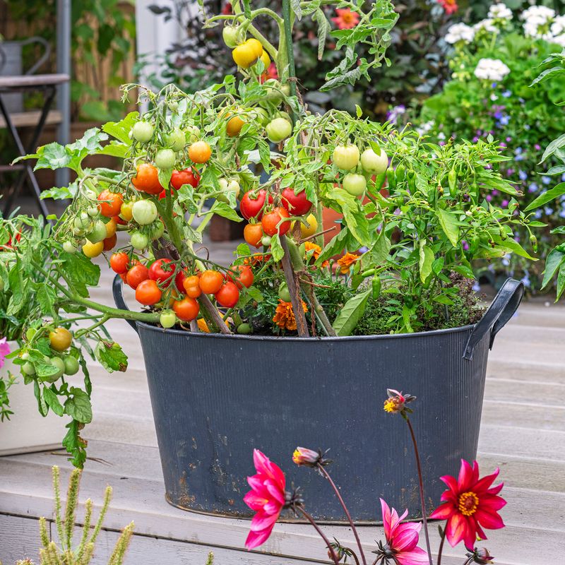 Set The Pot In A Warm, Sunny Spot