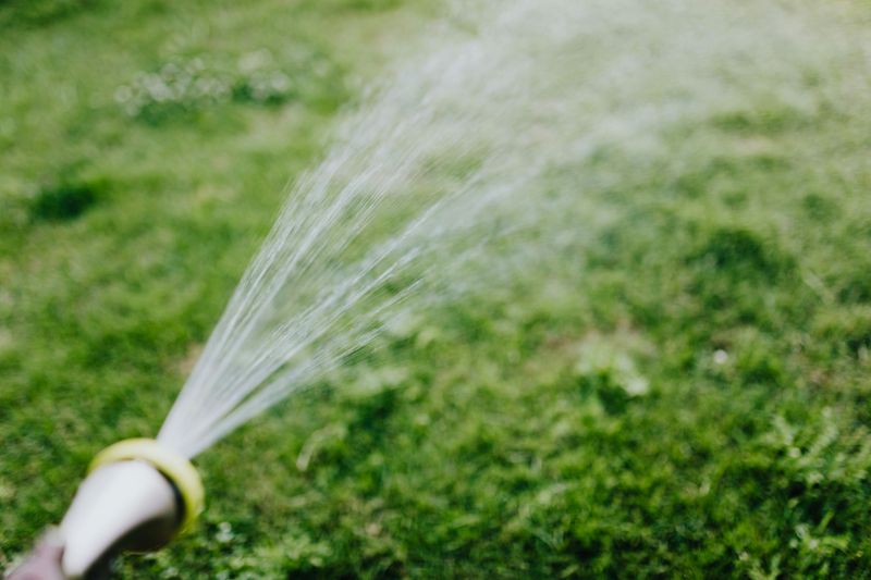 Set Up A Consistent Watering Schedule