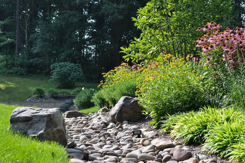 Shallow Basins Redirect And Absorb Excess Water Naturally