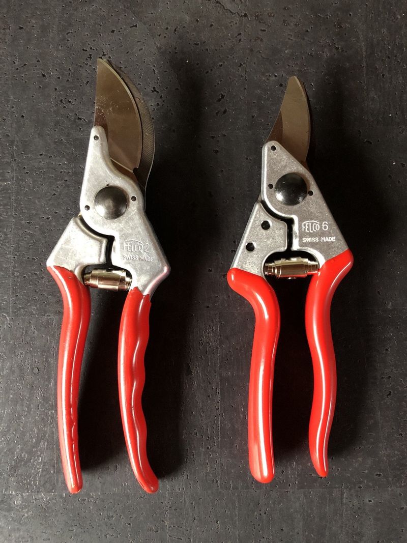Sharp Clean Cuts Help Shrubs Recover More Smoothly