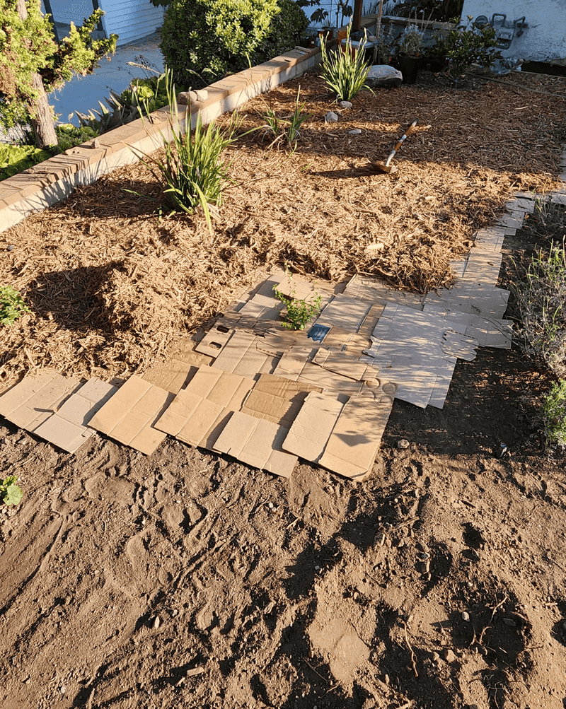 Sheet Mulching Works Best Before Summer