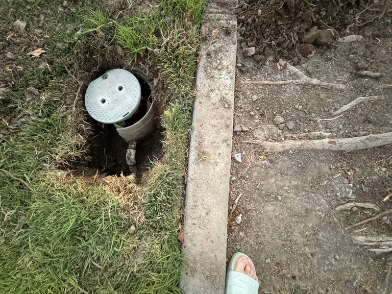 Sidewalk Or Sewer Damage Changes The Conversation