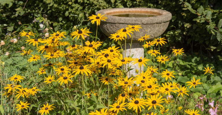 © Image Credit: Peter Turner Photography / Shutterstock