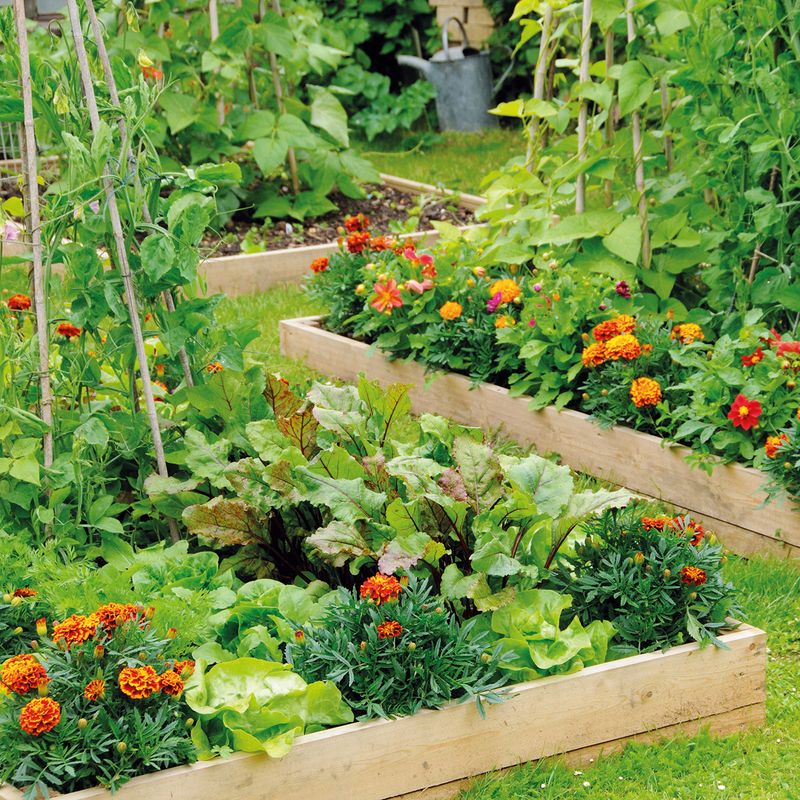 Simple Ways To Set Up A Better Summer Harvest