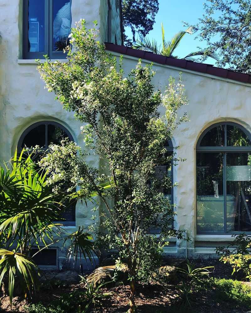 Simpson's Stopper Frames The Door With Flowers And Berries