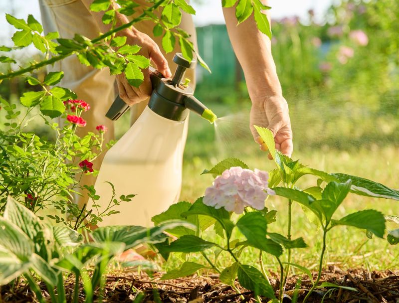 Skip Broad-Spectrum Pesticides When Possible