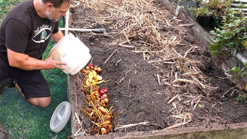 Skip Miracle Kitchen Scraps In Soil