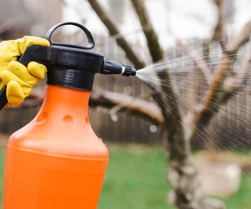 Skipping Dormant-Season Prevention