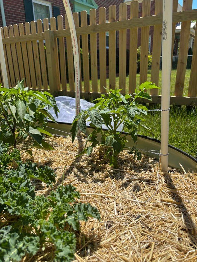 Skipping Mulch Before The First Heat Wave