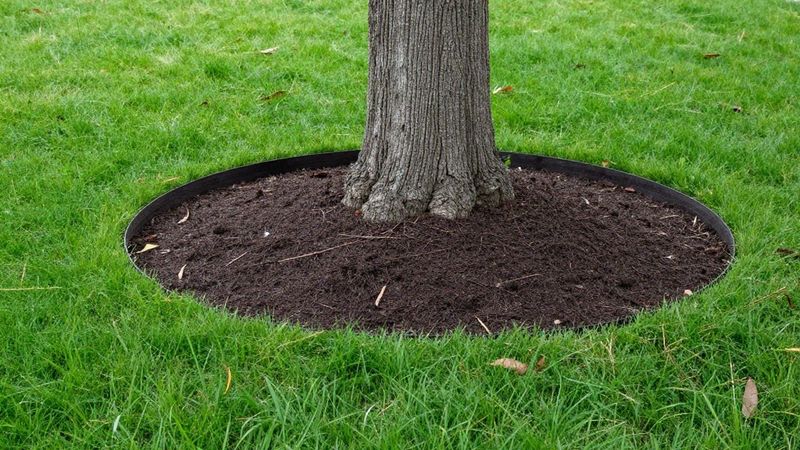 Skipping Mulch Borders Around Wooded Areas