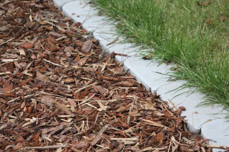 Skipping Mulch