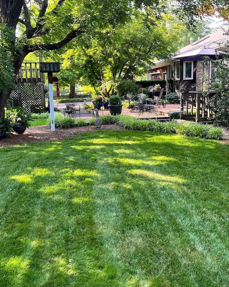 Skipping Regular Lawn Mowing