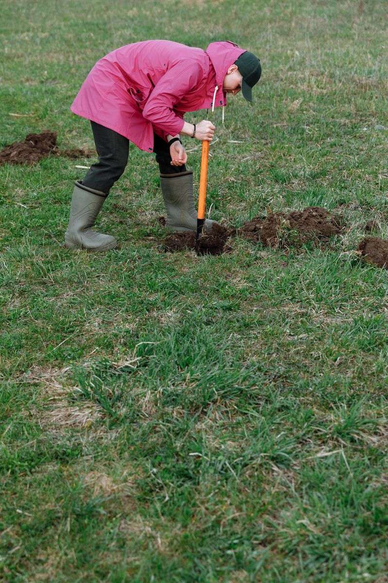 Slice And Lift Sod, Add Soil Underneath, Press Back Down Slice And Lift Sod, Add Soil Underneath, Press Back Down