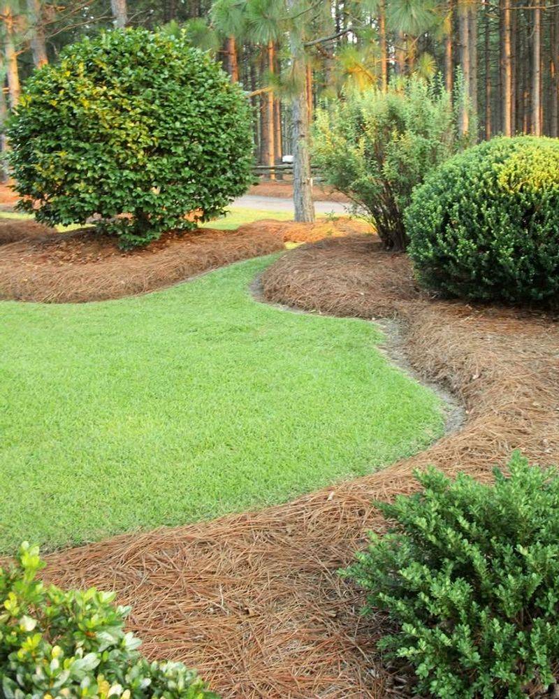 Sloped Beds Often Need Less Cleanup With Pine Straw