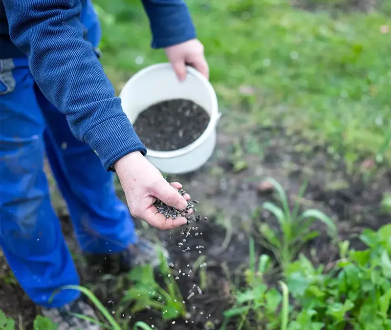 Slow-Release Fertilizer Gives Plants Time To Use The Nutrients