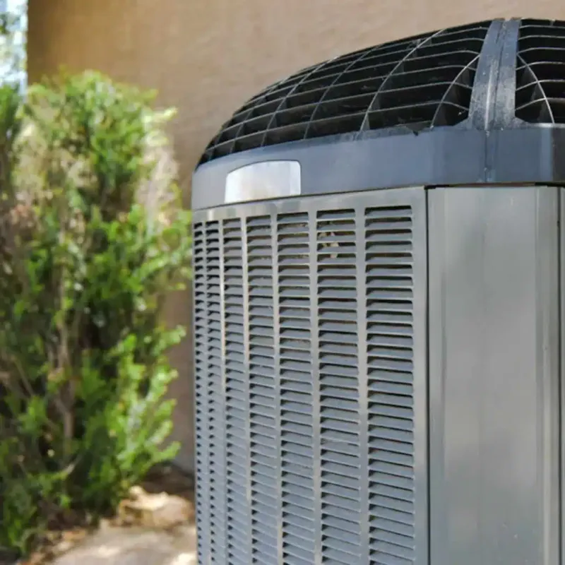 Smart Plant Choices Hide The View, Without Hurting Airflow