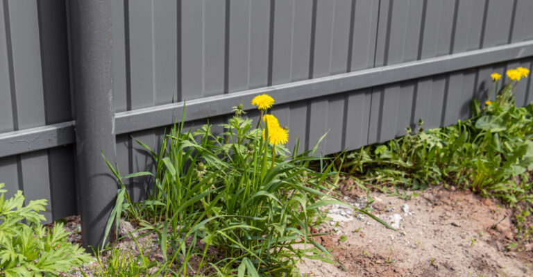 Smart Tricks Oregon Gardeners Should Use To Prevent Weeds Along Fence Lines