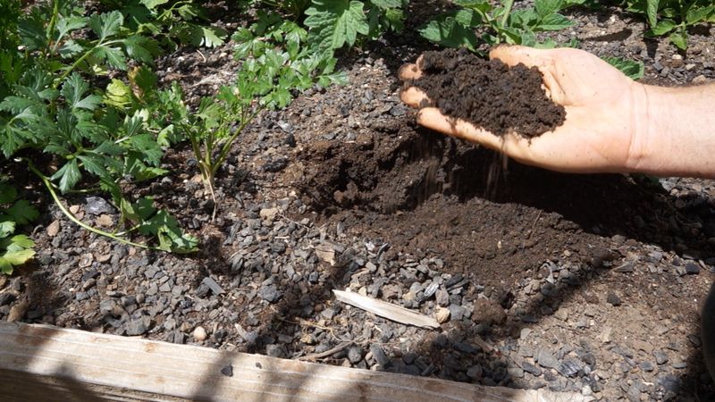 Soil Forms A Hard Crust On Top Soil Forms A Hard Crust On Top
