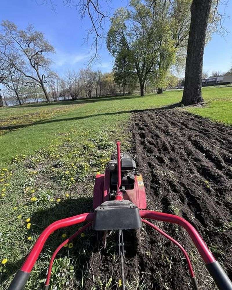 Soil Life Gets Disturbed