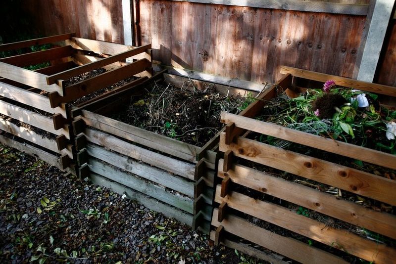 Spent Garden Plants Can Feed Next Year's Beds