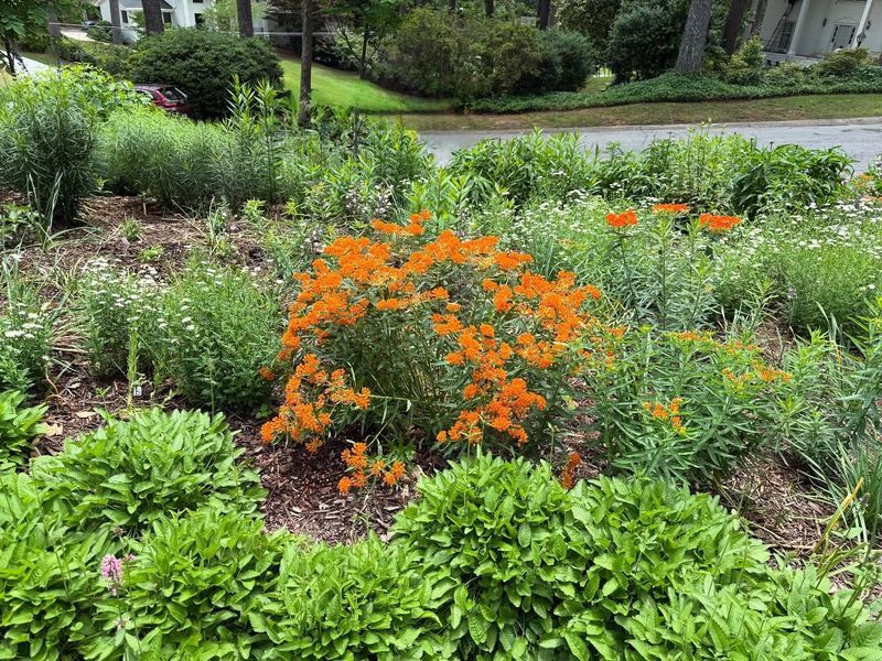 Spring Rainfall Supports Early Root Development