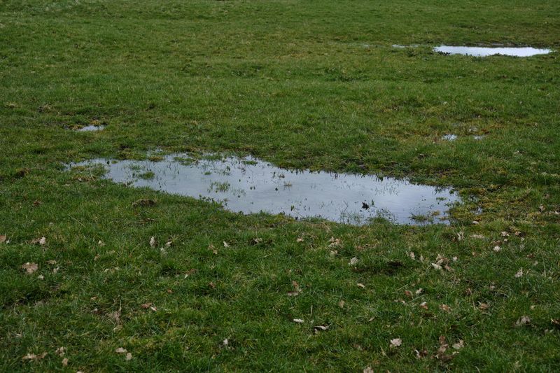 Standing Water Is An Open Invitation
