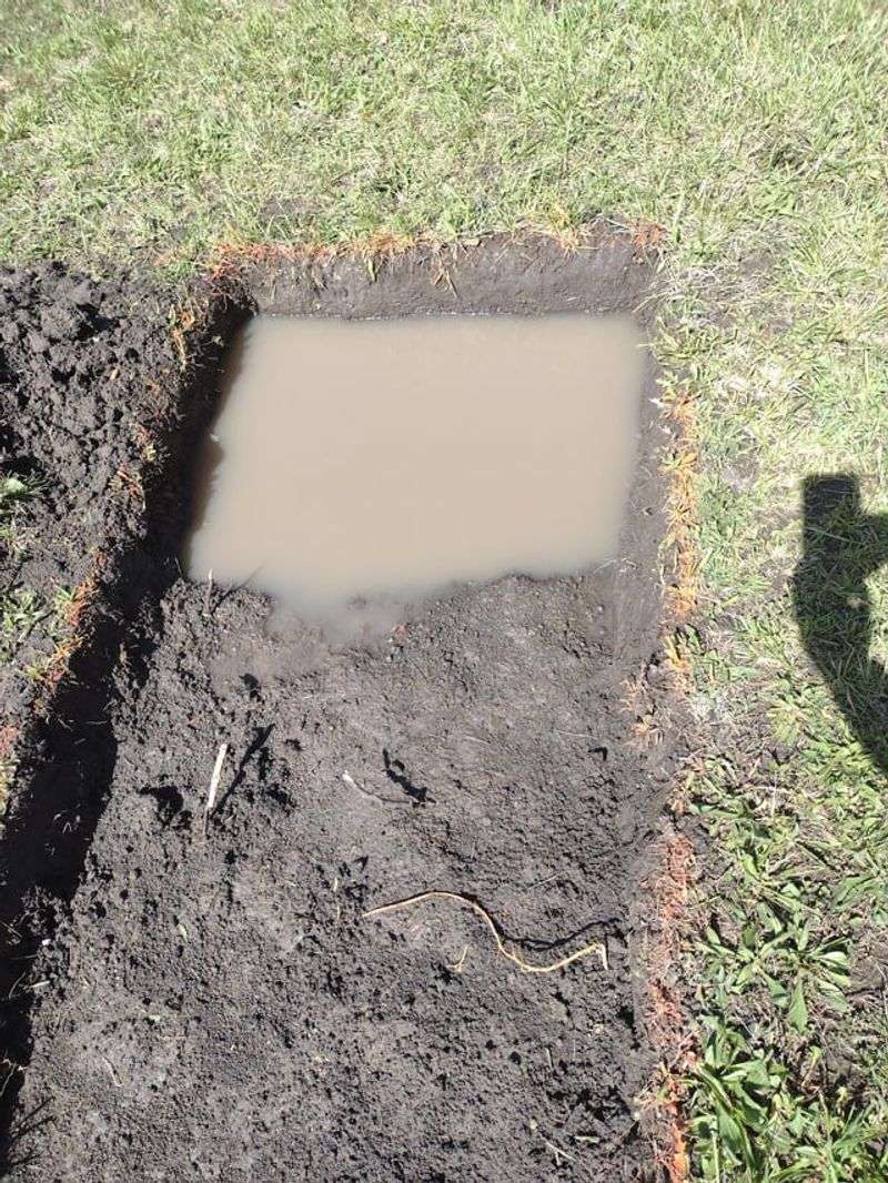 Standing Water Means Roots May Be In Trouble