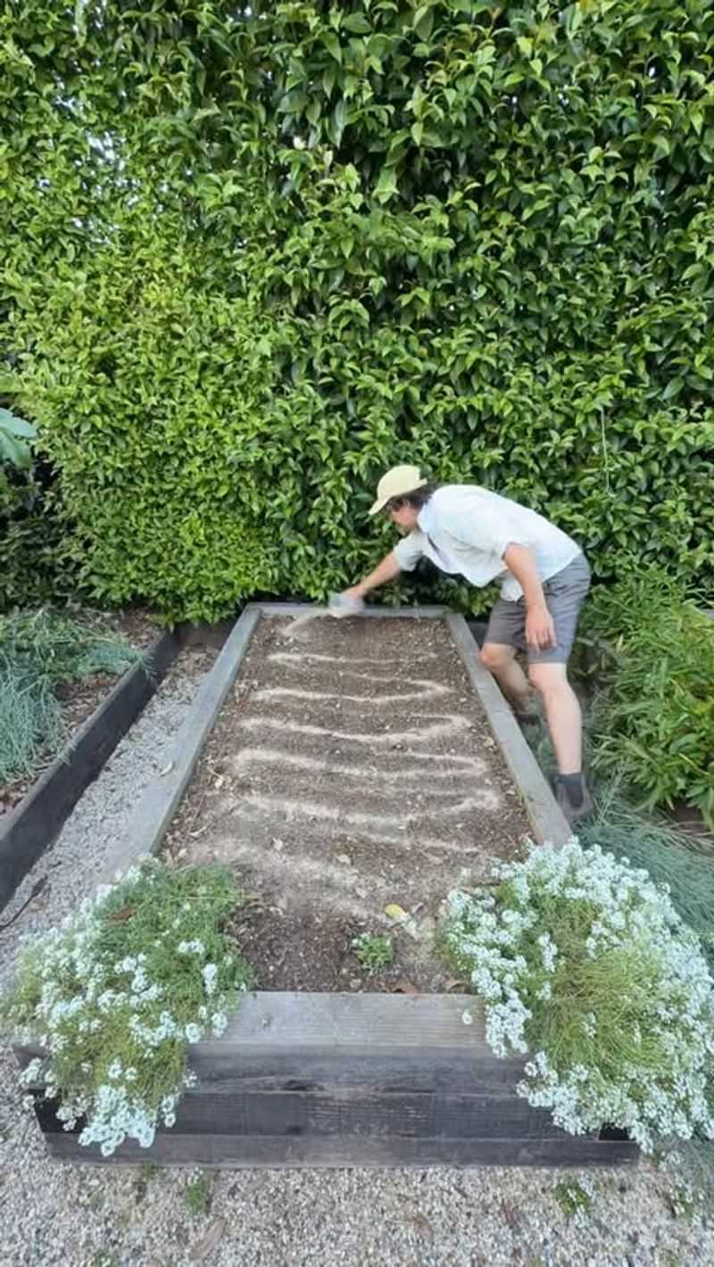 Start Planning The Fall Garden Early Start Planning The Fall Garden Early