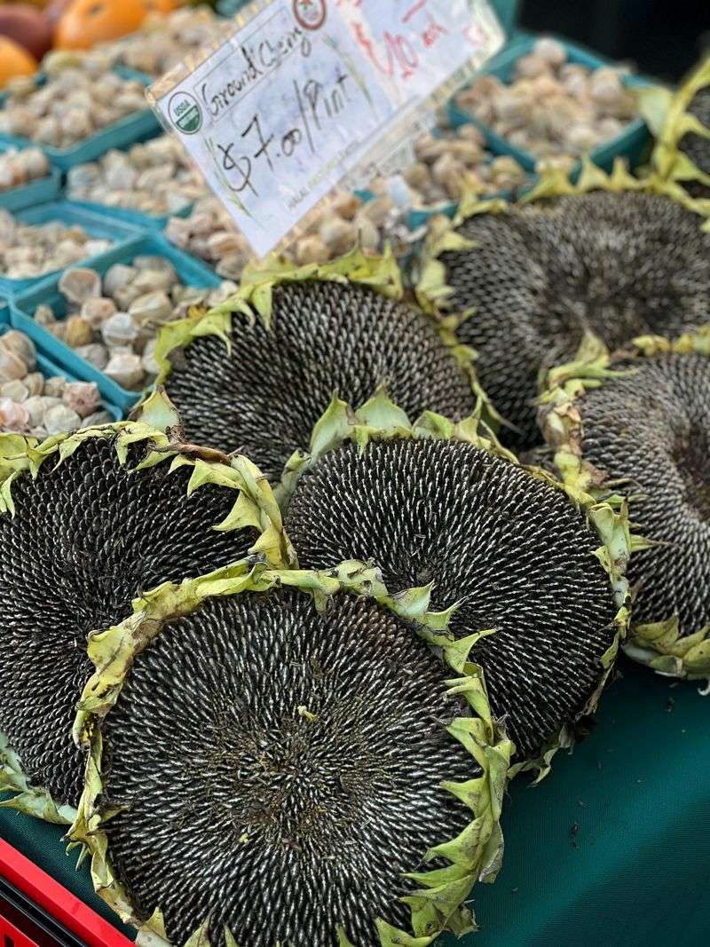 Start Seeds Indoors Two To Three Weeks Before Last Frost