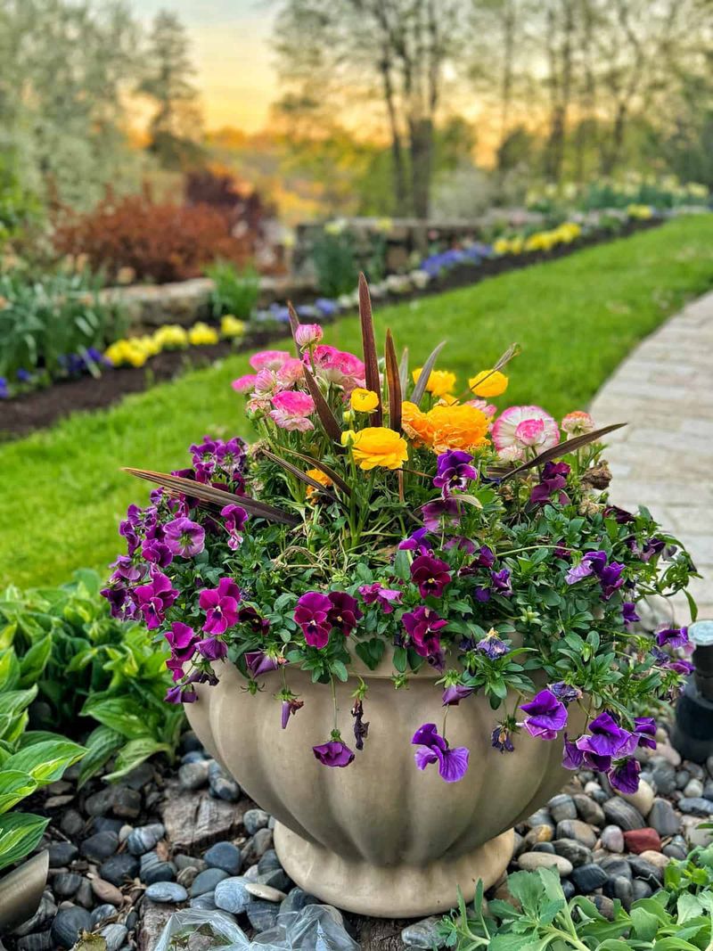 Start With A Container That Drains After Spring Rain