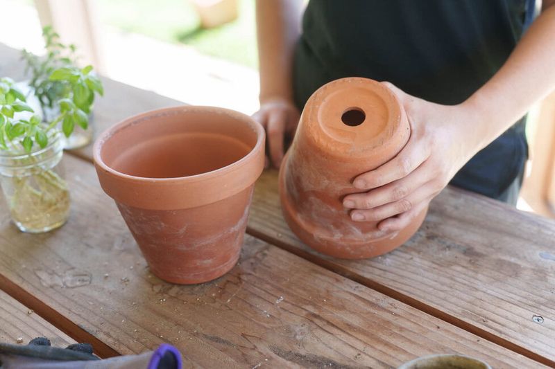 Start With A Fast Draining Pot