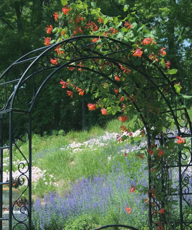 Start With A Strong Fence, Trellis, Or Arbor