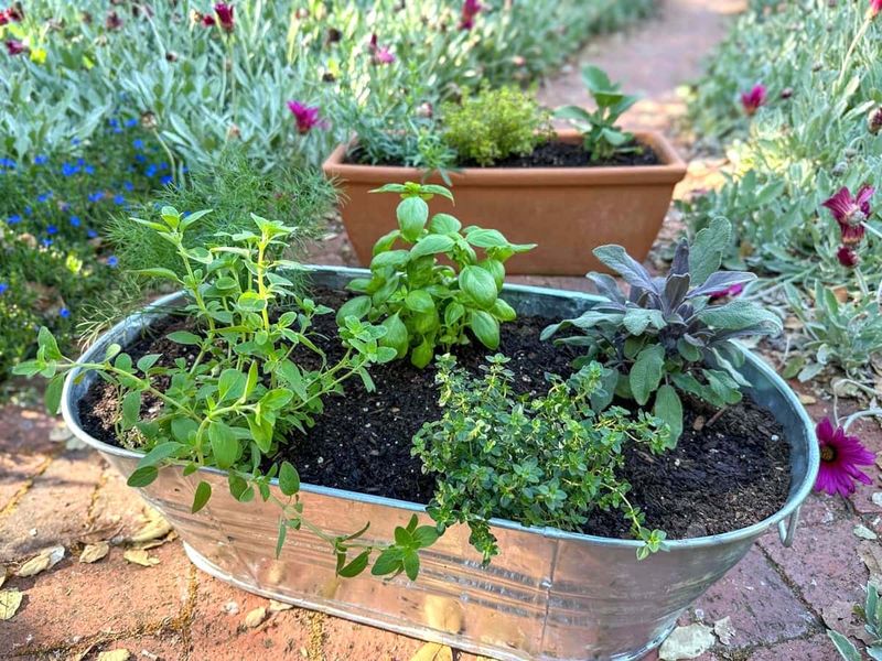 Start With The Right Soil Group