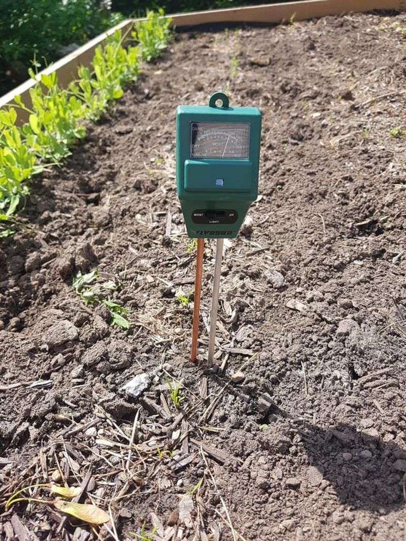 Start With The Soil Check